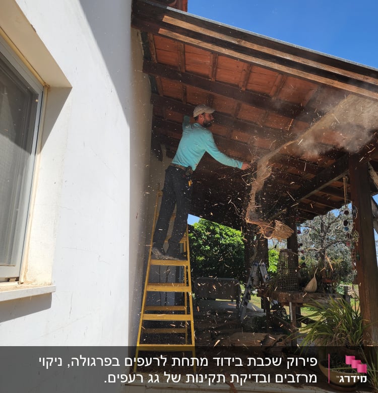 אדם על סולם צהוב מתקן גג עץ